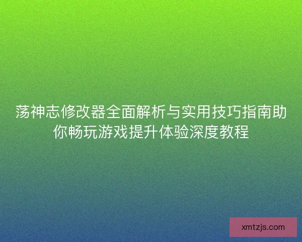 荡神志修改器全面解析与实用技巧指南助你畅玩游戏提升体验深度教程