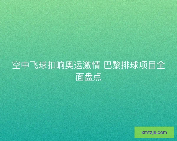 空中飞球扣响奥运激情 巴黎排球项目全面盘点
