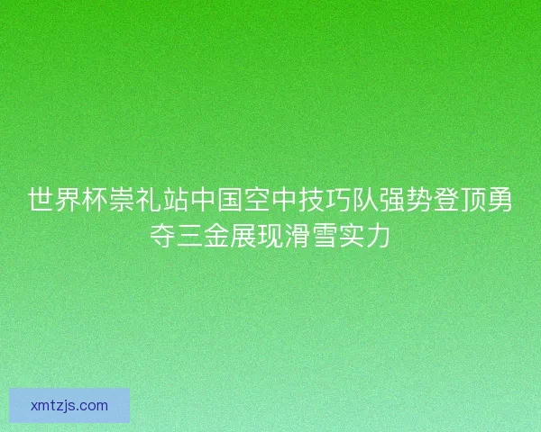 世界杯崇礼站中国空中技巧队强势登顶勇夺三金展现滑雪实力