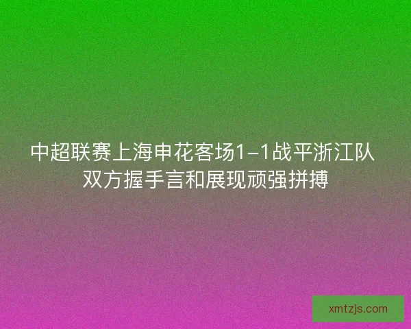 中超联赛上海申花客场1-1战平浙江队 双方握手言和展现顽强拼搏
